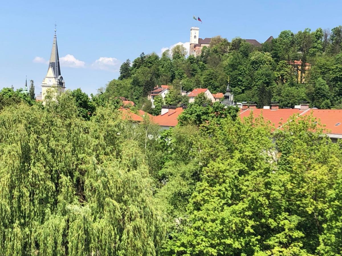 Castle View Studio Ljubljana Buitenkant foto